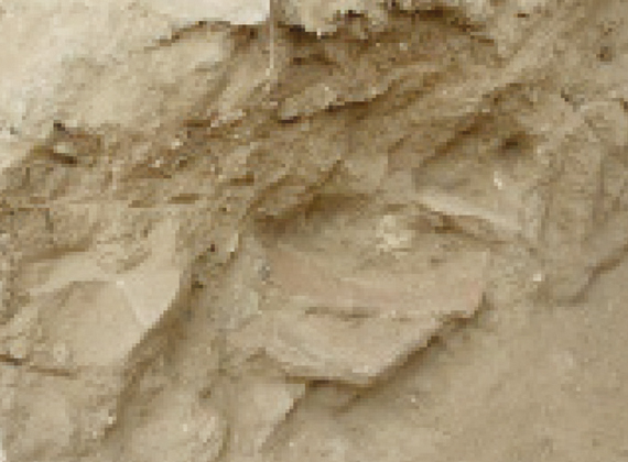 르호보암 시대의 바닥에서 발굴된 기원 전 10세기 토기